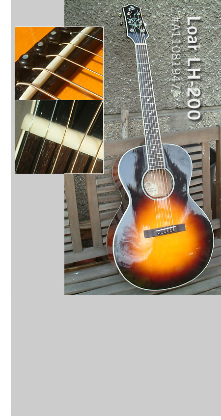 So sieht die 'Modifikation' der Bluesgitarre des Jahres 2010 im Detail aus
